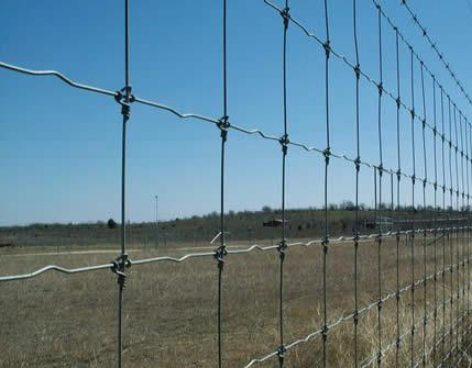 刺繩防護網 刺繩防護網