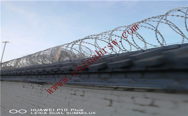 不銹鋼刀片刺繩 不銹鋼刀片刺繩