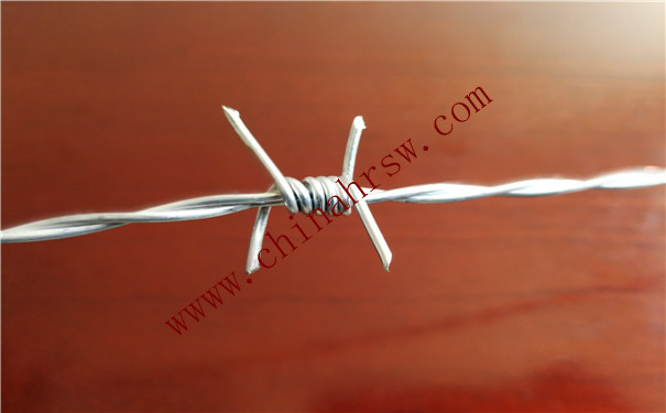 不銹鋼刺繩 不銹鋼刺繩