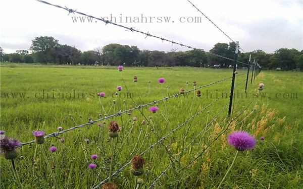 鋼絲刺繩 鋼絲刺繩