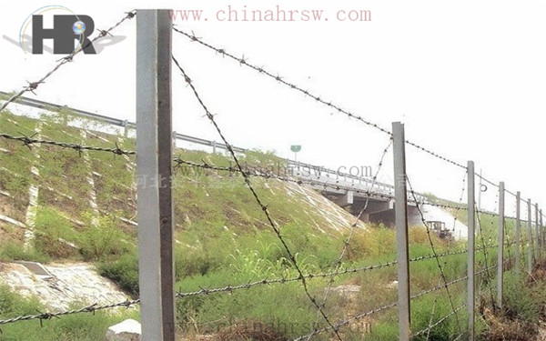 刺繩安裝 刺繩安裝