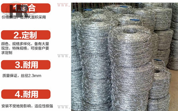 熱鍍鋅刺繩 熱鍍鋅刺繩