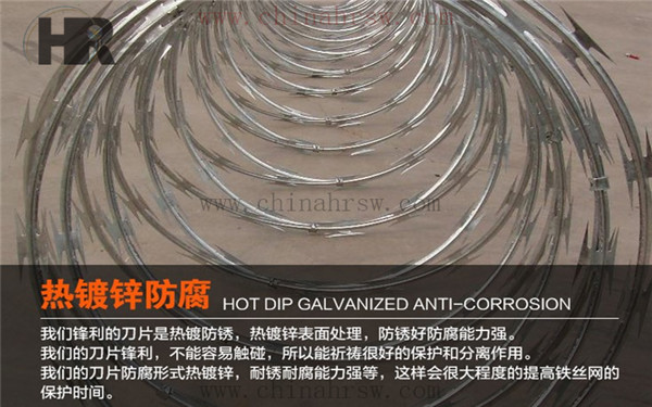 熱鍍鋅刺絲滾籠 熱鍍鋅刺絲滾籠