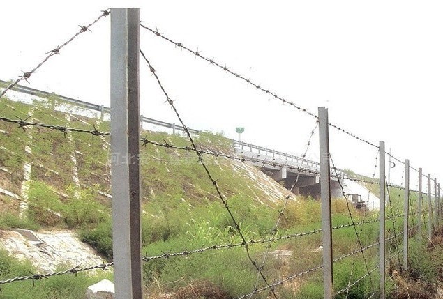 刺繩安裝好圖 刺繩安裝好圖