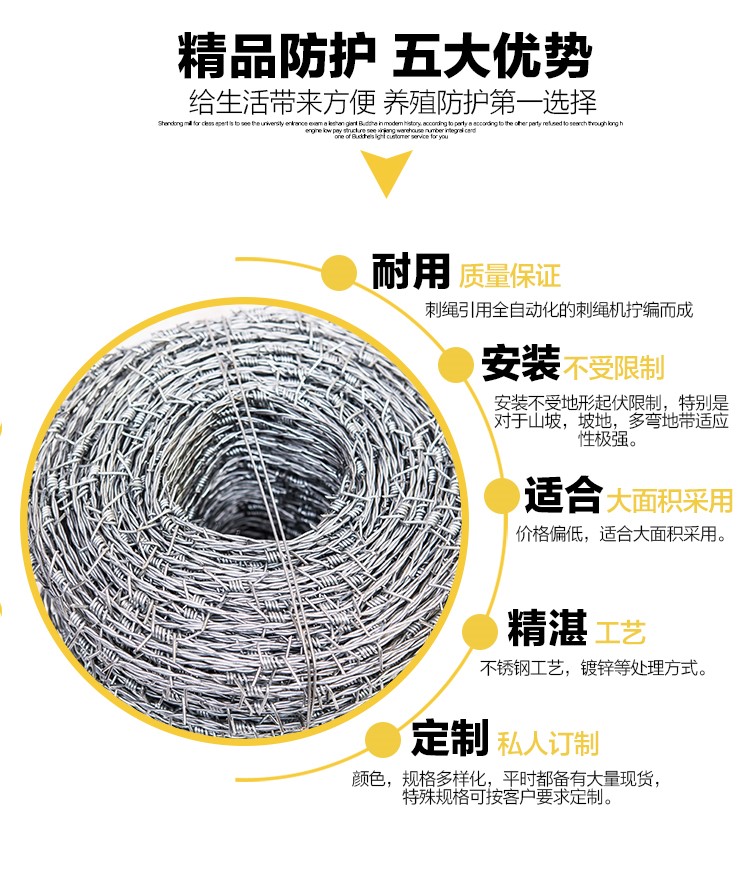 帶刺鐵絲網 帶刺鐵絲網