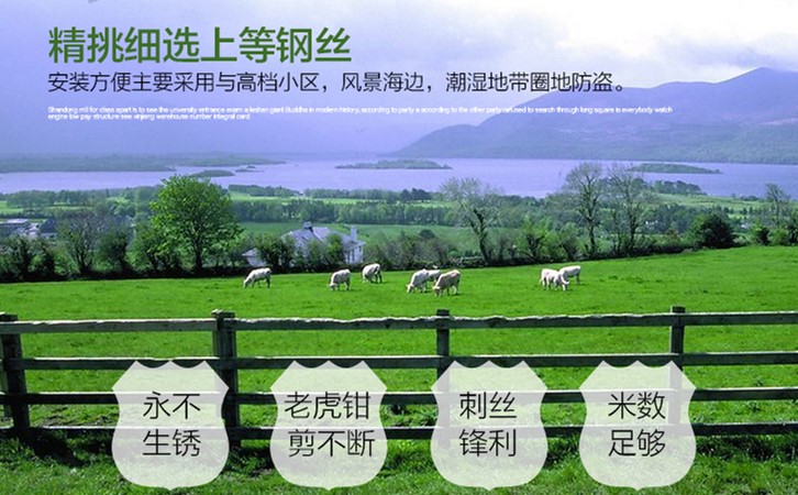 帶刺鐵絲網圍欄 帶刺鐵絲網圍欄