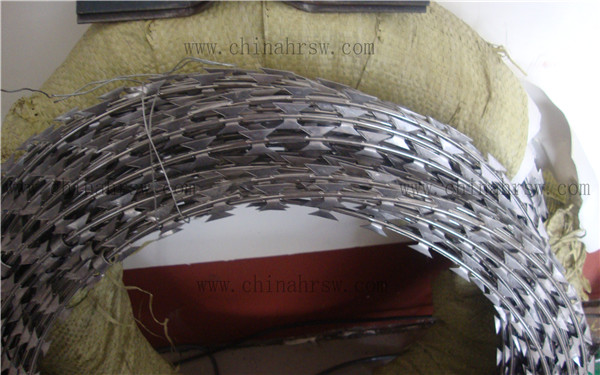 不銹鋼刀片刺網 不銹鋼刀片刺網