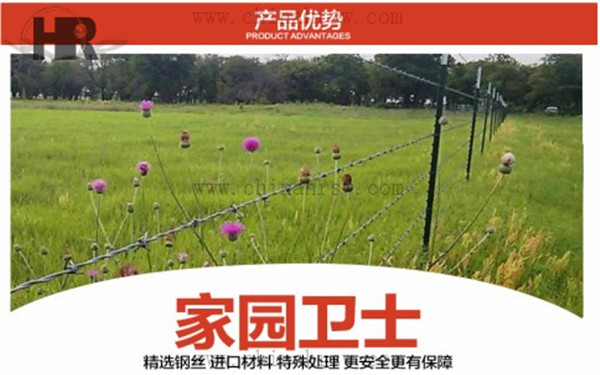 刺繩防護網 刺繩防護網