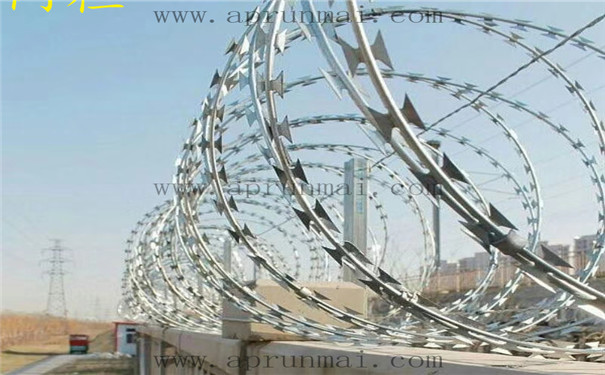 mmexport1516319509543.jpg mmexport1516319509543.jpg