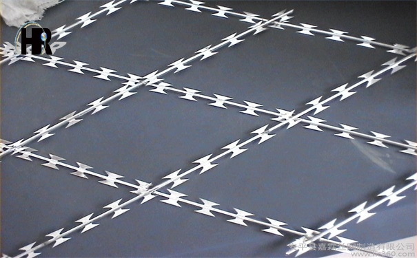 監獄護欄網--刀片刺網 監獄護欄網--刀片刺網