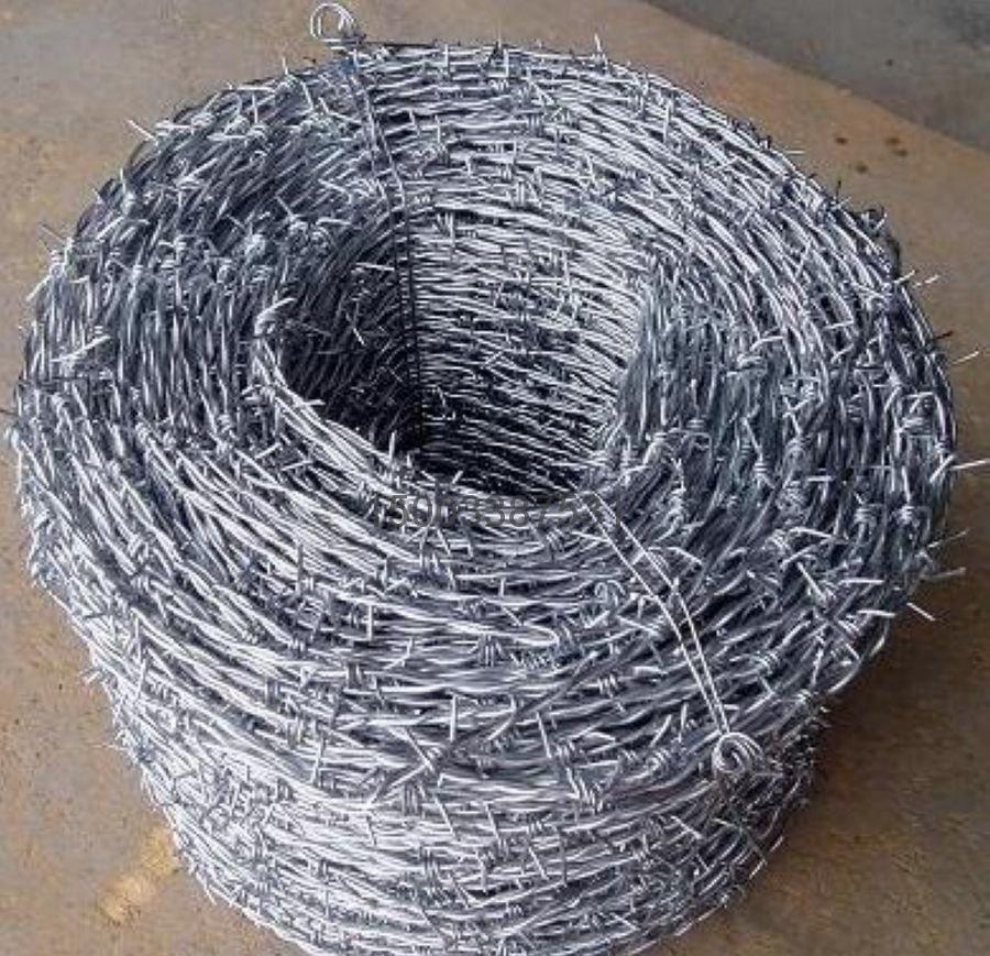 2391796.jpg 2391796.jpg