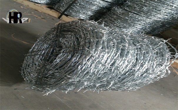 DSC_1337.jpg DSC_1337.jpg