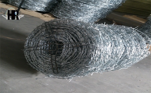 DSC_1338.jpg DSC_1338.jpg