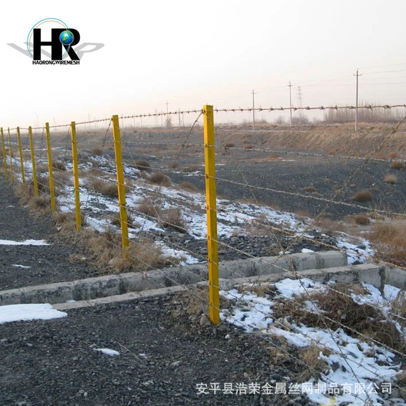 刺繩防護(hù)網(wǎng) 刺繩防護(hù)網(wǎng)