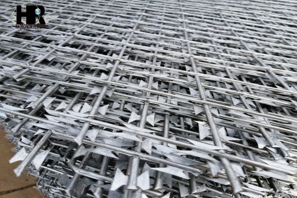 IMG_20190416_084256.jpg IMG_20190416_084256.jpg